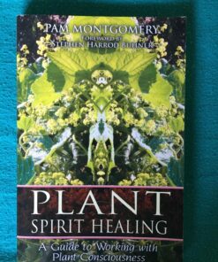 Plant Spirit Healing: A Guide to Working with Plant Consciousness 7 81DYlbRV24L
