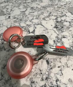 GoTags Stainless Steel Pet ID Tags, Personalized Dog Tags and Cat Tags, up to 8 Lines of Custom Text, Engraved on Both Sides, in Bone, Round, Heart, Bow Tie and More Rectangle Regular (Pack of 1) 30 81DZTkkEBtL