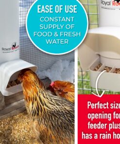Royal Rooster Chicken Feeder and Chicken Waterer Set - 7 lb Poultry Chicken Feeder with Rain Cover and 1 Gallon Waterer System - Chicken Coop Accessories: Valve-Cup Waterer and Gravity-Feed Feeder Set 1-Cup Waterer 21 81Da9rQ55FL