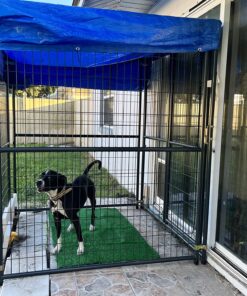 Grizzly Tarps by B-Air 8' x 10' Large Multi-Purpose Waterproof Heavy Duty Poly Tarp with Grommets Every 36", 8x8 Weave, 5 Mil Thick, for Home, Boats, Cars, Camping, Protective Cover, Blue 8' x 10' 47 81DaIMDoaiL