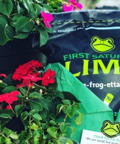 First Saturday Lime for Insects 20lb 38 81DceD98rDL