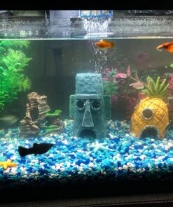 Aqueon Replacement Filter Cartridges Medium - 6 pack 26 81DfDLpJytL