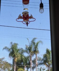 Kaytee Hummingbird ElectroNectar Wild Bird Food, Ready to Use, 64 Ounces 64 oz Ready To Use 30 81Dfn7Y1qJL