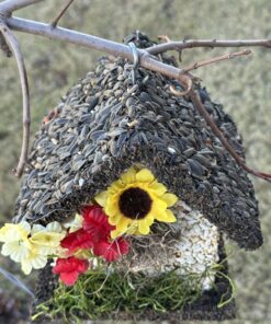 Edible Birdhouses | Reseedable Wooden Birdhouse Covered w/Birdseed | Squirrel Proof Bird Feeder | Made in The USA (SD) Short Dark Roof 31 81DiNk itgL