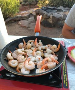 Camp Chef Mountain Series Butane 1 Burner Stove with plastic storage case 21 81DlevvEDUL