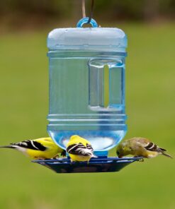 Perky-Pet 780 Outdoor Hanging Water Cooler Bird Waterer and Dispenser,Blue, 1.5 Qt Capacity 28 81DnEnAHVfL