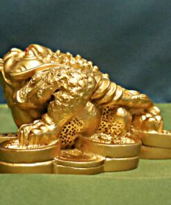 1 X Feng Shui Money Frog/Money Toad Attract Wealth 18 81Dpvj1O6FL