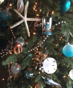 Tumbler Home White Sand Dollars 3"-3.5" - 10pcs - Wedding Seashell Craft Sandollars- Hand Picked and Professionally Packed 51 81DsqsaNGzL