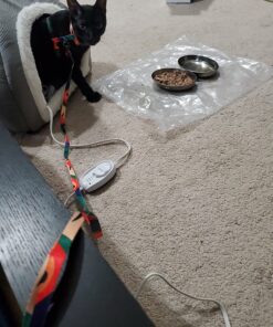 Purina Friskies Gravy Wet Cat Food Variety Pack, Poultry Shreds, Meaty Bits & Prime Filets - (32) 5.5 oz. Cans 45 81DtdYCmhAL