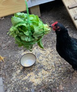 Ware Manufacturing Chick-N-Veggie Treat Ball 29 81Dunc229 L