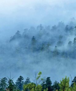 National Parks of America 1: Experience America's 59 National Parks (Lonely Planet) 19 81DvGXSp1 L