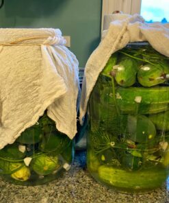 1790 Large Glass Jars with Lid - Wide Mouth 1 Gallon Glass Jar with Lid - Glass Gallon Jar for Kombucha & Sun Tea - Gallon Mason Jars are Large Glass Jars with Lids 1 Gallon for Food Storage - 2 Pack 37 81DwtG5hpKL