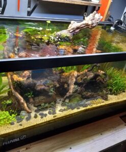 Comfort Zone 6 INCH - 2 Speed - Adjustable Tilt, Whisper Quiet Operation Clip-On-Fan with 5.5 Foot Cord and Steel Safety Grill, Black 26 81DyRSoVAuL