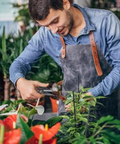 Bonsai Pruning Scissors 5 PCS, Small Pruner Shears, Bud Leaves Trimmer, Garden Shears for Plants, Gardening Clippers for Flower, Stainless Steel Bud and Bonsai Trimming Pruners Trimmers 19 81Dzm1fTMaL