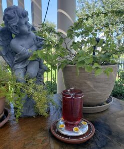 Perky-Pet 786-1SR Mason Jar Vintage Glass Hummingbird Feeder - Outdoor Garden Décor - 32-oz Red Mason Jar 38 81E LjfbQqL