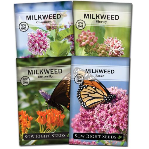 Sow Right Seeds - Milkweed Variety Seed Collection - Includes Butterfly, Common, and Showy Milkweed - Attract Monarchs and Other Butterflies to Your Garden - Non-GMO Heirloom Seeds