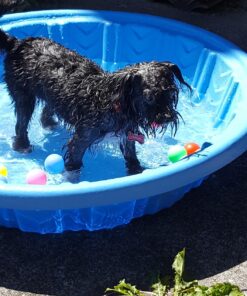 TADICK Assorted Color 50 Pack Beer Ping Pong Balls Washable Plastic Table Tennis Ball 36 81E1x9djW1L