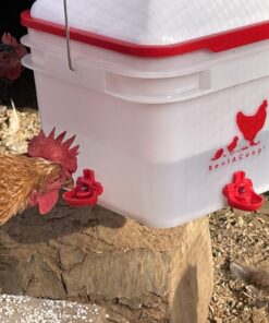 RentACoop 2 Gallon Chicken BPA-Free Plastic Bucket Waterer Set with 4 Horizontal Nipples - Center Placement 22 81E4ydKU0rL