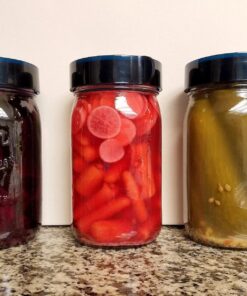 Nourished Essentials Fermentation Kit - 3 Pack Airlock Fermentation Lids for Wide Mouth Mason Jars with Vacuum Sealer - Air Lock for Fermenting Kimchi, Sauerkraut, Pickle and Kombucha 40 81E7CynlNuL
