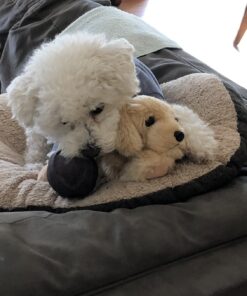 Aurora® Adorable Flopsie™ Goldie™ Stuffed Animal - Playful Ease - Timeless Companions - Brown 12 Inches Single 21 81E9eWkjJ7L