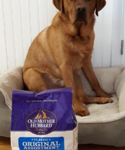 Old Mother Hubbard by Wellness Classic Original Mix Natural Dog Treats, Crunchy Oven-Baked Biscuits, Ideal for Training, Mini Size, 3.8 pound bag Treats (3.8 lb) 3.8 Pound (Pack of 1) 38 81E9rBzsQL