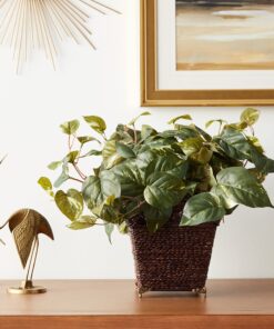 Nearly Natural 6704 Pothos with Coiled Rope Decorative Silk Plant, Green 17 13 81EGD5iPesS