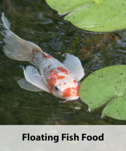 Kaytee Koi's Choice Koi Floating Fish Food, 25 Pound 25 Pound (Pack of 1) 14 81EKQ4ob9zL