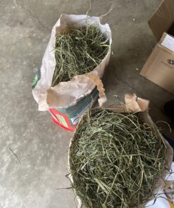 Oxbow Animal Health Western Timothy Hay - All Natural Hay for Rabbits, Guinea Pigs, Chinchillas, Hamsters & Gerbils -Veterinarian Recommended- Grown in the USA-90 oz. 5.62 Pound (Pack of 1) 31 81ELh4OKC7L