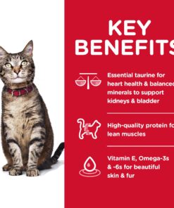 Hill's Pet Nutrition Science Diet Dry Cat Food, Adult, Chicken Recipe, 4 lb. Bag 30 81EMcccRo2L