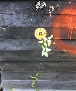 EasyShot Shooting Target Stickers-Adhesive Gun Targets for Shooting Targets for Rifle, Pistol, Air Pellet, Airsoft Guns Sticker BB Targets for Range Practice 4 Inch Orange Target Stickers 200pcs 18 81EN1oxKmhL