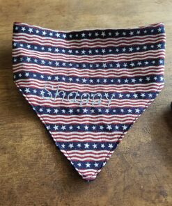 Embroidex Embroidery Machine Starter Kit - Everything Needed to Do Machine Embroidery Thread, Stabilizer, Bobbin Needles Etc Plus Bonus Embroidery Designs and Instructional CD 21 81ENPj8Ya5L