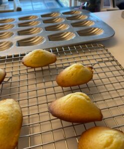 USA Pan Bakeware Madeleine Pan, 16-Well, Aluminized Steel 54 81EPjgrAcyL