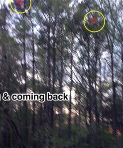 Aerobie 30C12 Orbiter Boomerang 33 81ERMFHnXLL