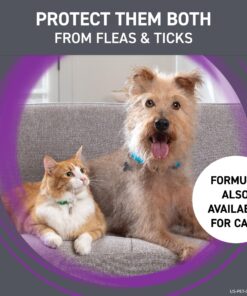 FRONTLINE Plus Flea and Tick Treatment for Large Dogs Up to 45 to 88 lbs., 3 Treatments 25 81ESnnNIm5L 2