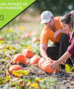 Nut Cravings - Raw Pumpkin Seeds Pepitas, Unsalted, Shelled, Superior to Organic (32oz - 2 LB) Bulk Nuts Packed Fresh in Resealable Bag - Healthy Protein Snack, All Natural, Keto, Vegan, Kosher Pumpkin Seeds Raw 2 Pound (Pack of 1) 13 81EULNSWZ5L