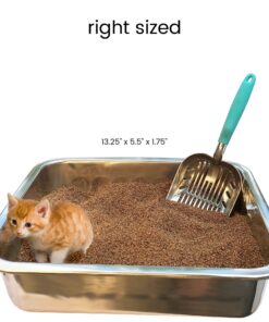 DuraScoop® Premium Multicat Cat Litter Scoop | Solid Metal | Litter Box Tray Pan Sifter Random Color 40 81EUl8q9h2L
