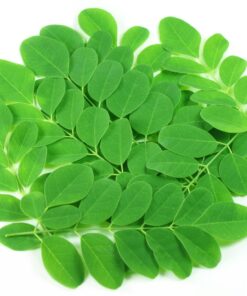 Kiva Organic Moringa Leaf Powder - Non-GMO and RAW - (1 Pound) 28 81EWjV RfAL