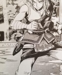 The Legend of Zelda: Twilight Princess, Vol. 1 (1) Paperback 17 81EYYvjtNL