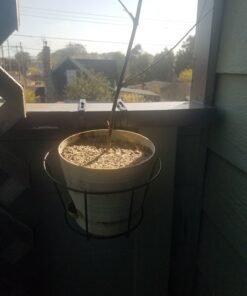 Panacea 89049 Ring Over The Deck Adjustable Flower Pot Holder, Black, 8-Inch 19 81Eb3Ui8jgL