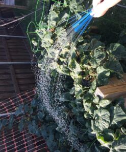 Bunch O Balloons – Instant Water Balloons – Green (3 bunches – 100 Total Water Balloons) 24 81Ejg6mo8L