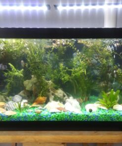 PENN-PLAX Standard Airline Tubing for Aquariums – Clear and Flexible – Resists Kinking – Safe for Freshwater and Saltwater Fish Tanks – 8 Feet 21 81En0nw4tnL