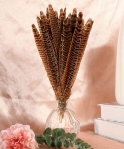 THARAHT 24pcs Female Ringneck Pheasant Tails Feathers Natural Feathers 10-12inch 25-30cm for Crafts Home Wedding Party Performance DIY Decoration Female Pheasant Feathers Female Pheasant feather-10-12inch 13 81EnfRm0e2L