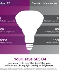 Philips LED Dimmable BR30 Light Bulb: 650-Lumen, 5000-Kelvin, 11-Watt (65-Watt Equivalent), E26 Base, Frosted, Daylight, 3-Pack 3 Count (Pack of 1) 65 W 7 81EpDndeoXL