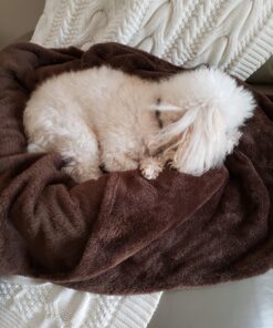 K&H Pet Products Heated Pet Bed Warmer Waterproof Pet Heating Pad for Cat Beds and Dog Beds, Tan Small 35 81Ew41tn7L