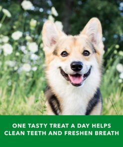 Amazon Brand - Wag Dental Dog Treats to Help Clean Teeth & Freshen Breath - Medium, Unflavored, 36 Count (Pack of 1) 36 Count (Pack of 1) 29 81EwTVkuxLL