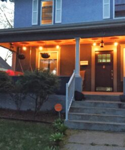 Feit Electric 72041 30 Foot Heavy-Duty Weather Resistant Decorative Indoor and Outdoor 10 Sockets Incandescent String Lights, 30', 11W, Dimmable,Black 30 ft (Pack of 1) 30 81EyDGAHArL