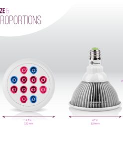 Indoor LED Grow Light Bulbs w/ Clamp Reflector (12W) Efficient Greenhouse Red & Blue Hydroponics Lighting | Produce Healthier Plants, Herbs, Flowers 26 81EyJ7vbJbL 1