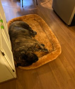 MidWest Homes for Pets Bolster Cinnamon Pet Bed for Dogs & Cats w/ Comfortable Bolster | Ideal for Extra Large Dog Breeds & Fits a 48-Inch Crate | Easy Maintenance Machine Wash & Dry | 48L-Inch 30 81F0Fz47NPL