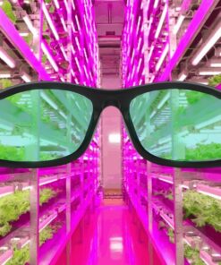 Apollo Horticulture Grow Light Glasses Goggles for Wear Fit Over Glasses for LED Grow Light Room UV400 Grow Room Safety Protective Eyewear for Intense LED Lighting Visual Eye Protection 22 81F1xfIjIvL