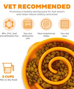 Outward Hound Fun Feeder Slo Bowl, Slow Feeder Dog Bowl, Medium/Mini, Orange 18 81F2IQTYgCL